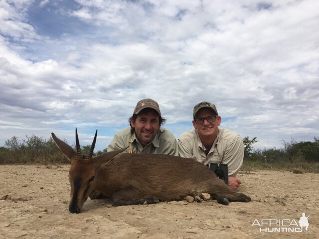 Duiker Hunting South Africa