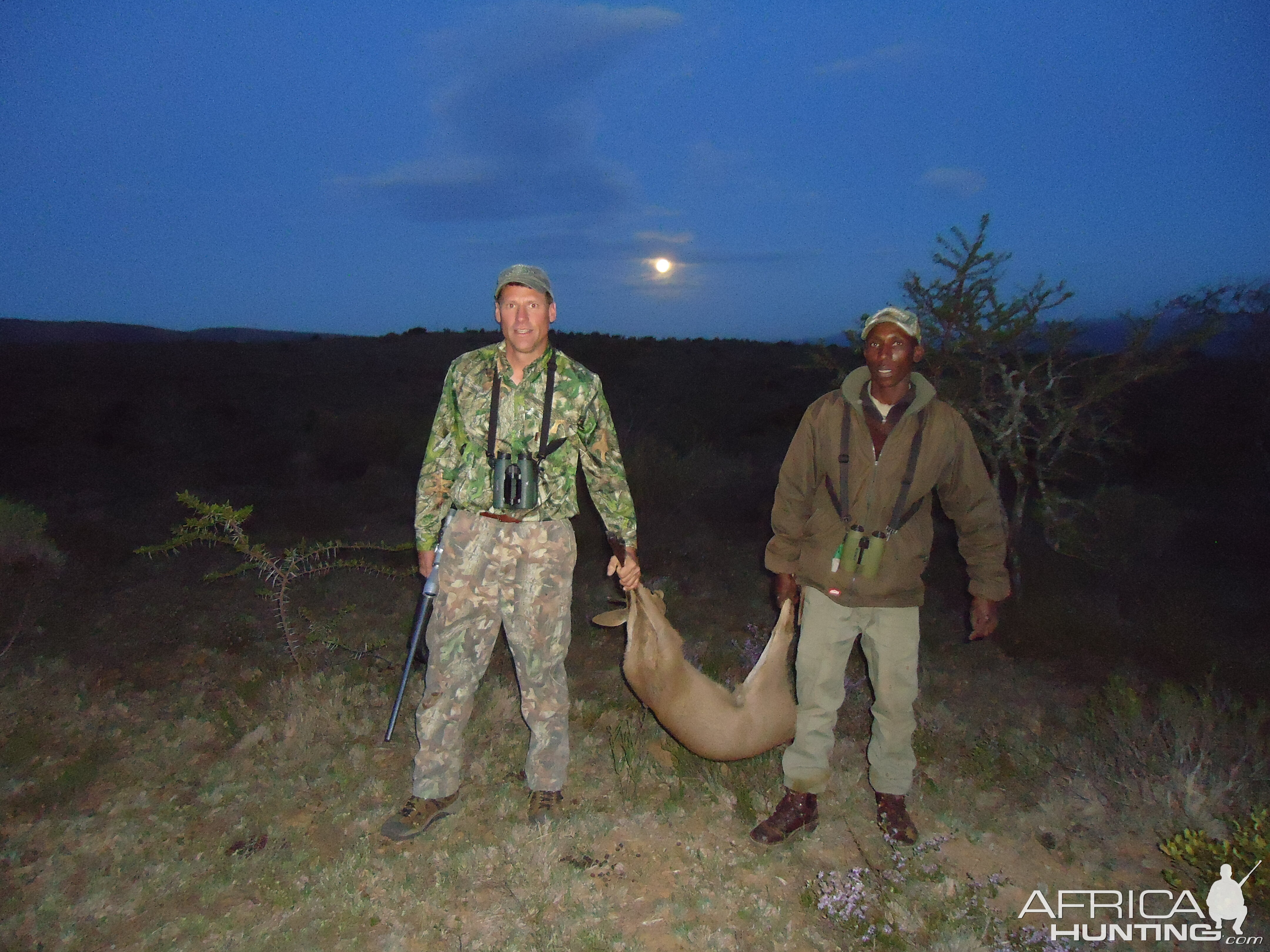 Duiker Hunting South Africa