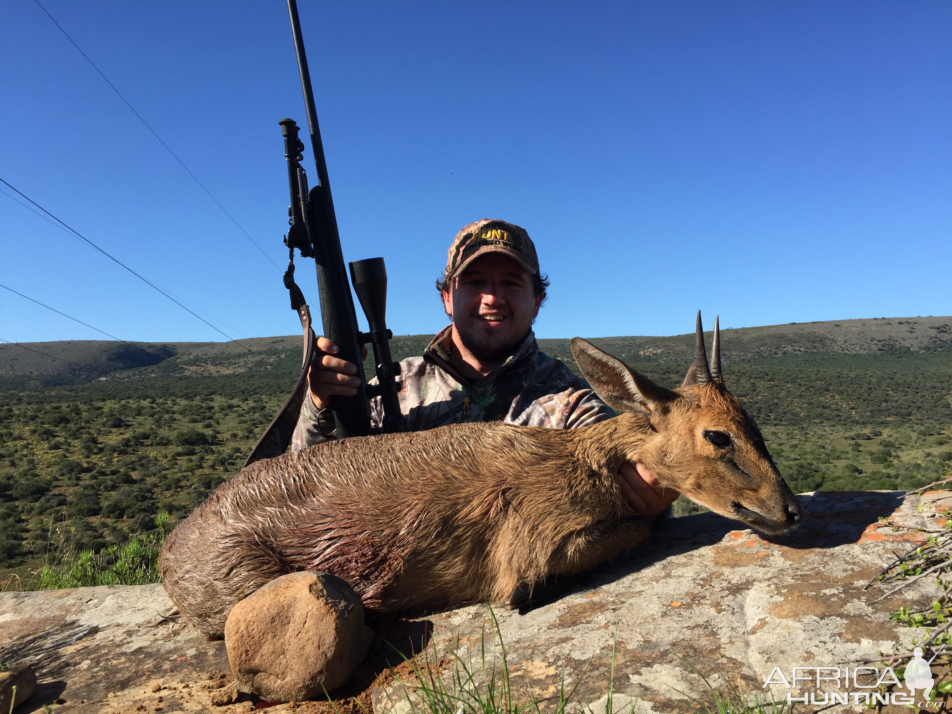 Duiker Hunting South Africa