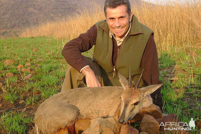 Duiker Hunting South Africa