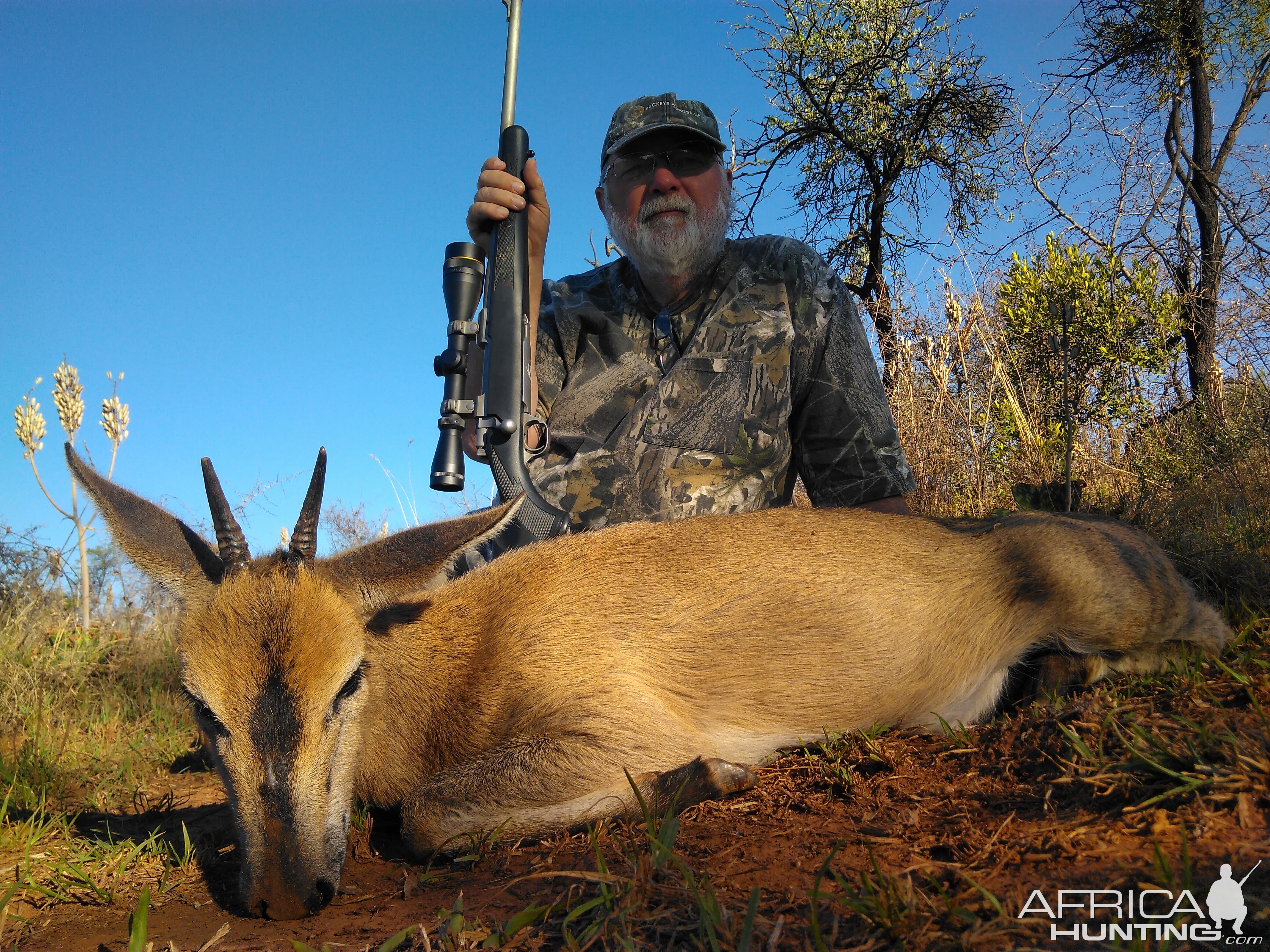 Duiker Hunting South Africa