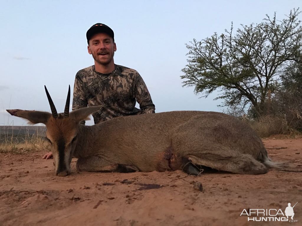 Duiker Hunting South Africa