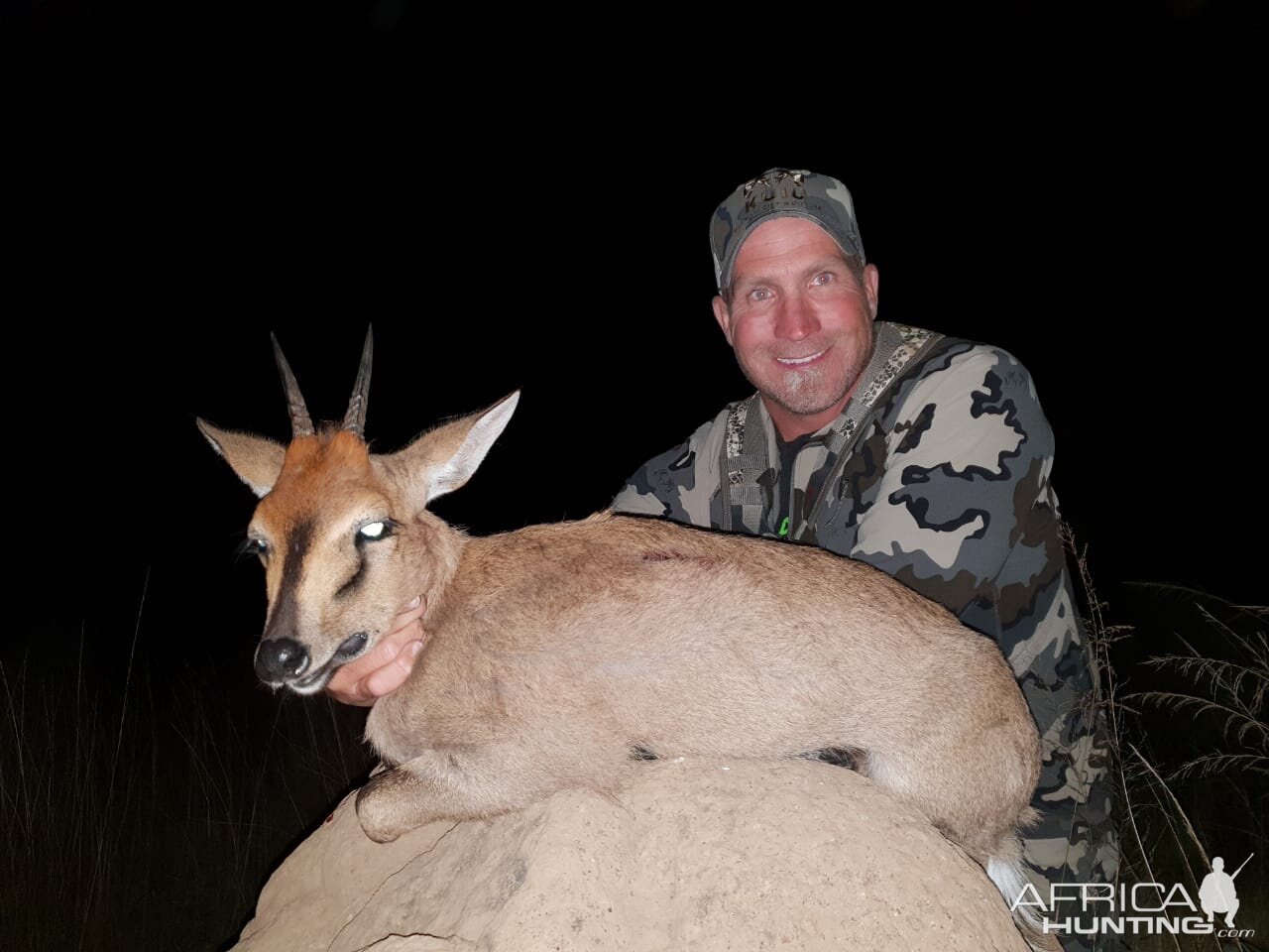 Duiker Hunting South Africa