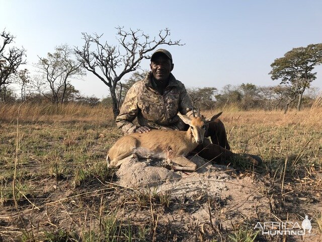 Duiker Hunting Tanzania