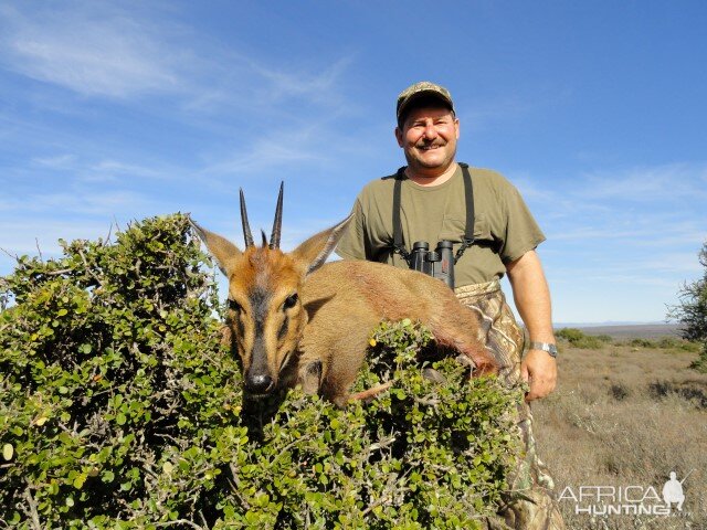 Duiker Hunting