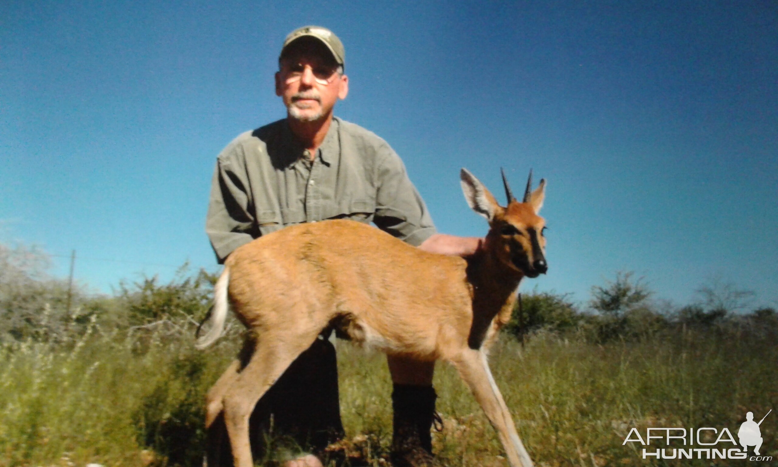 Duiker Hunting