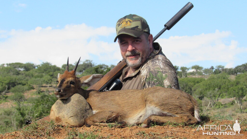 Duiker South Africa Cull Hunt