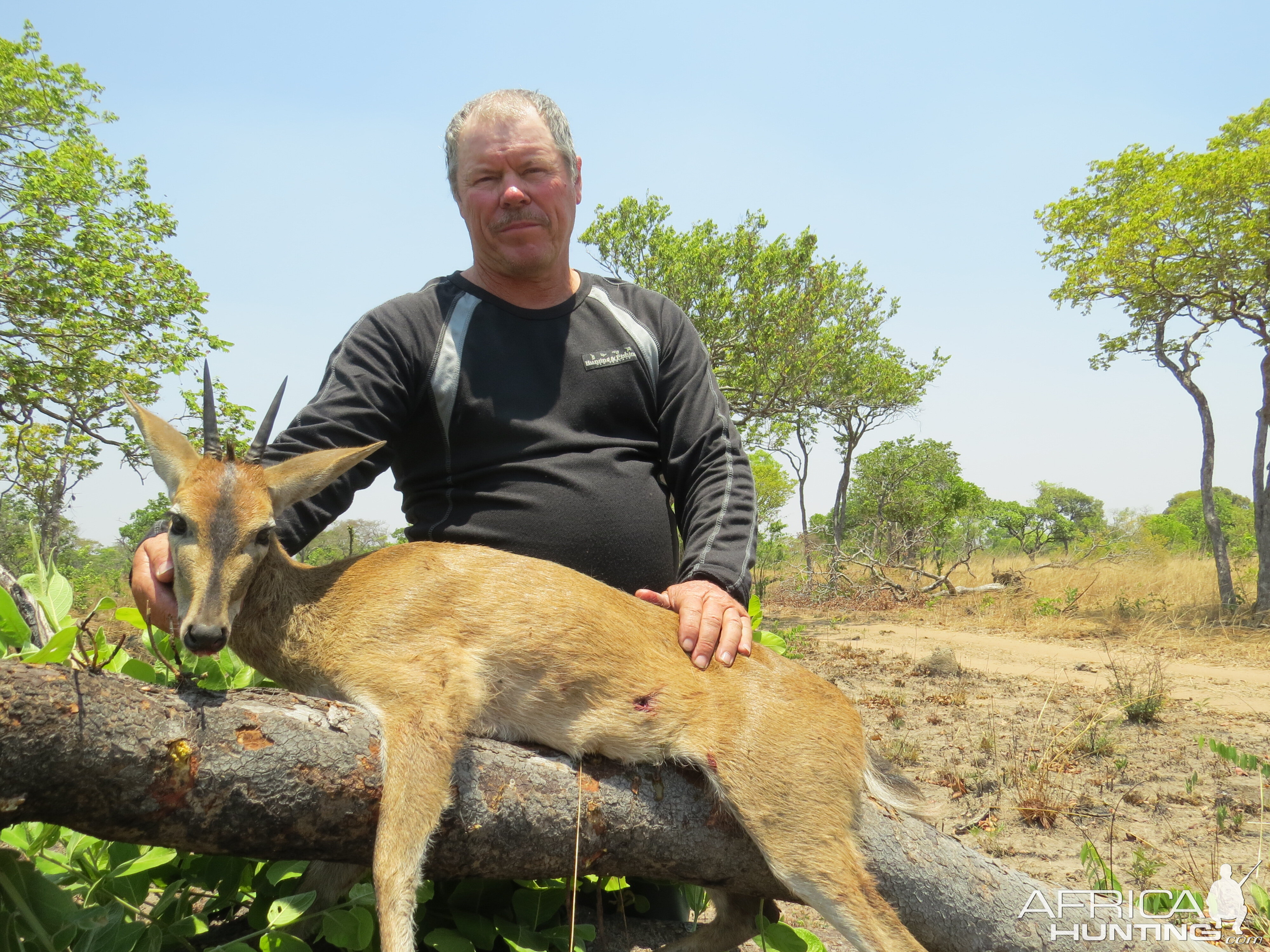 Duiker Zambia Hunting