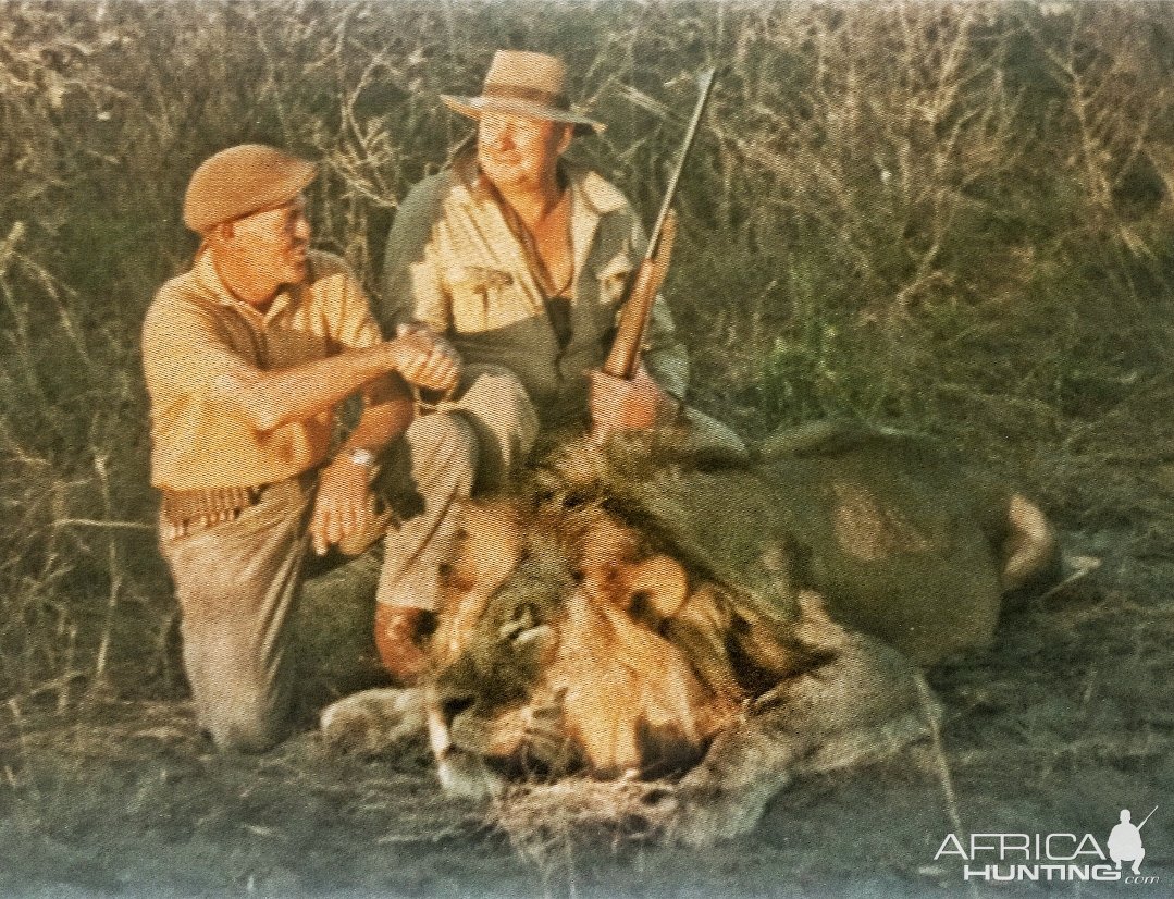 Dup Du Plessis with the lion that Dennis had to shoot after he missed his shot.-Botswana