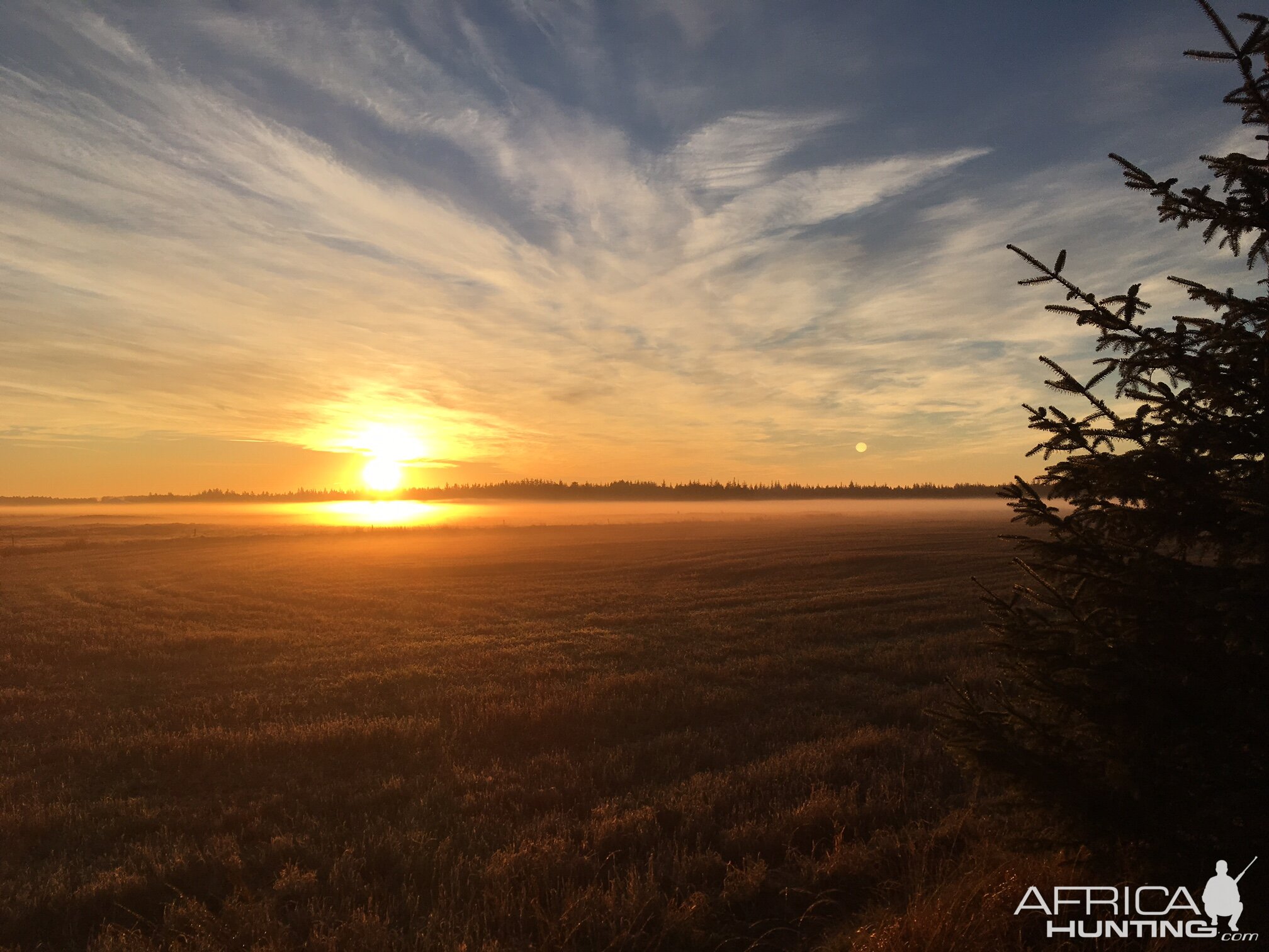 Early morning Denmark