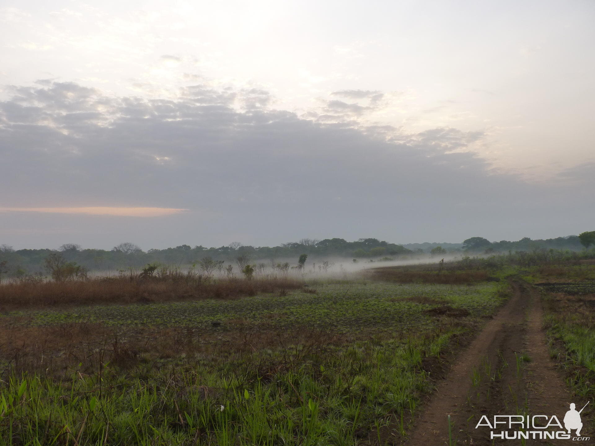 Early morning in CAR