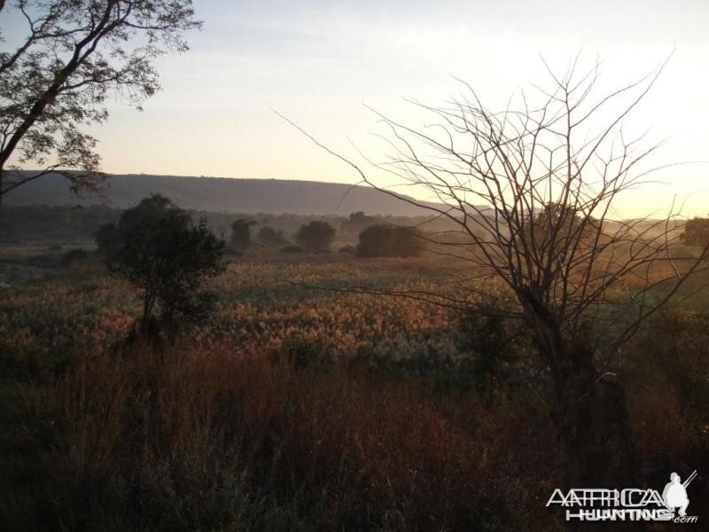 Early morning in the Chifudze camp Zimbabwe