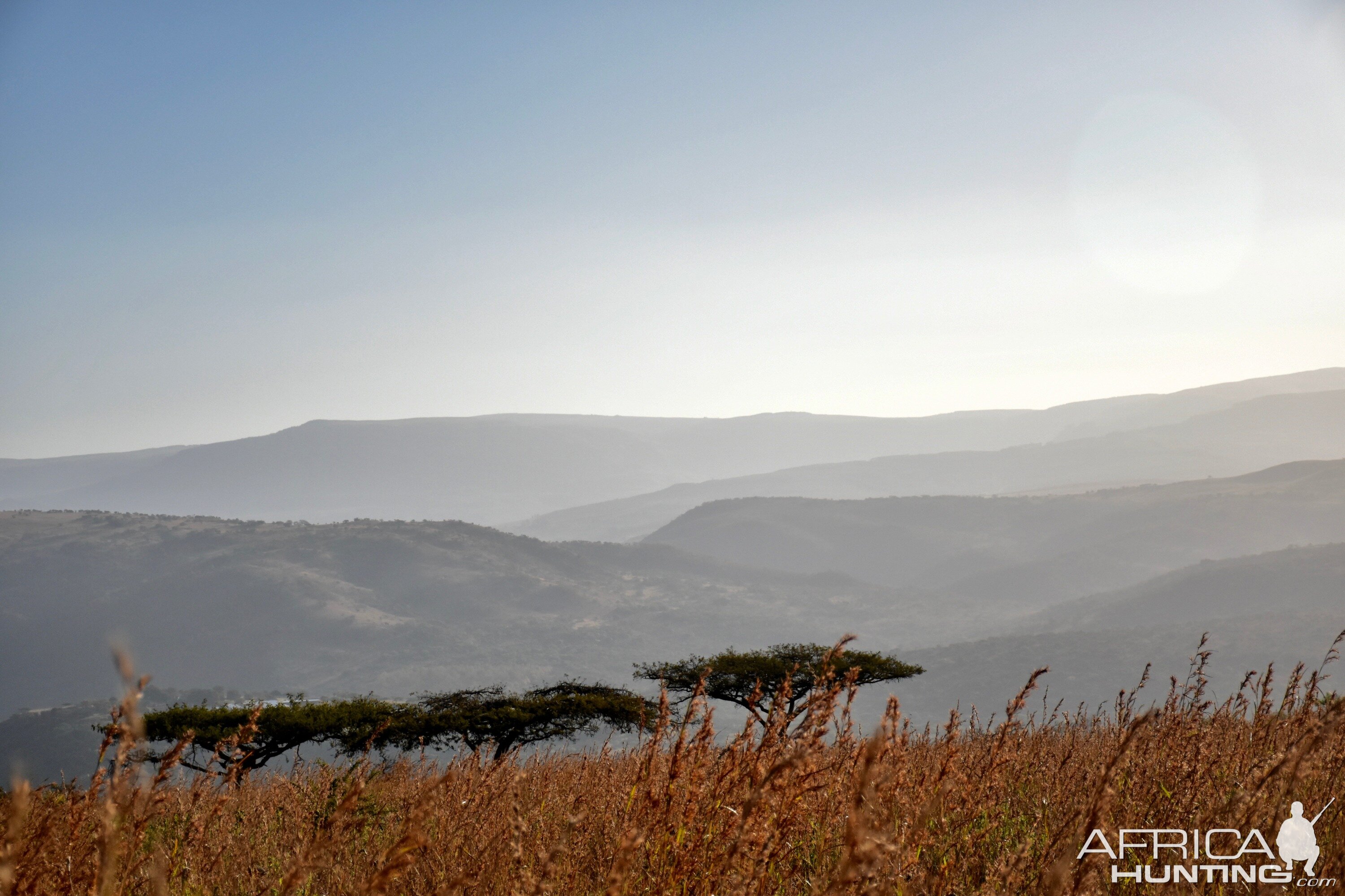 Early Morning South Africa