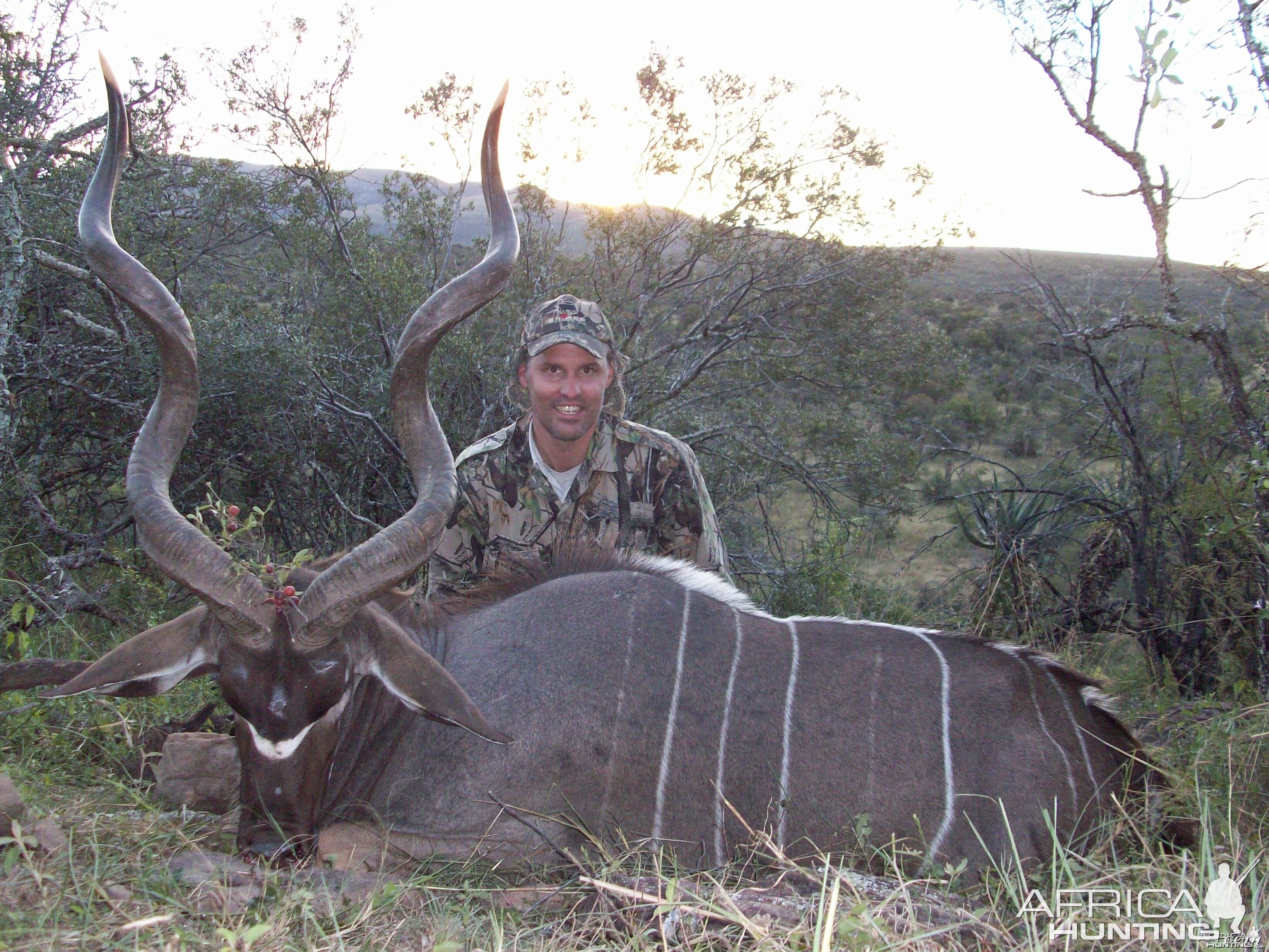 Early season Kudu