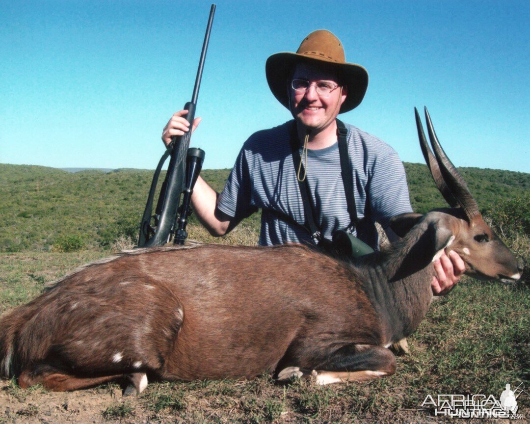 East Cape Bushbuck