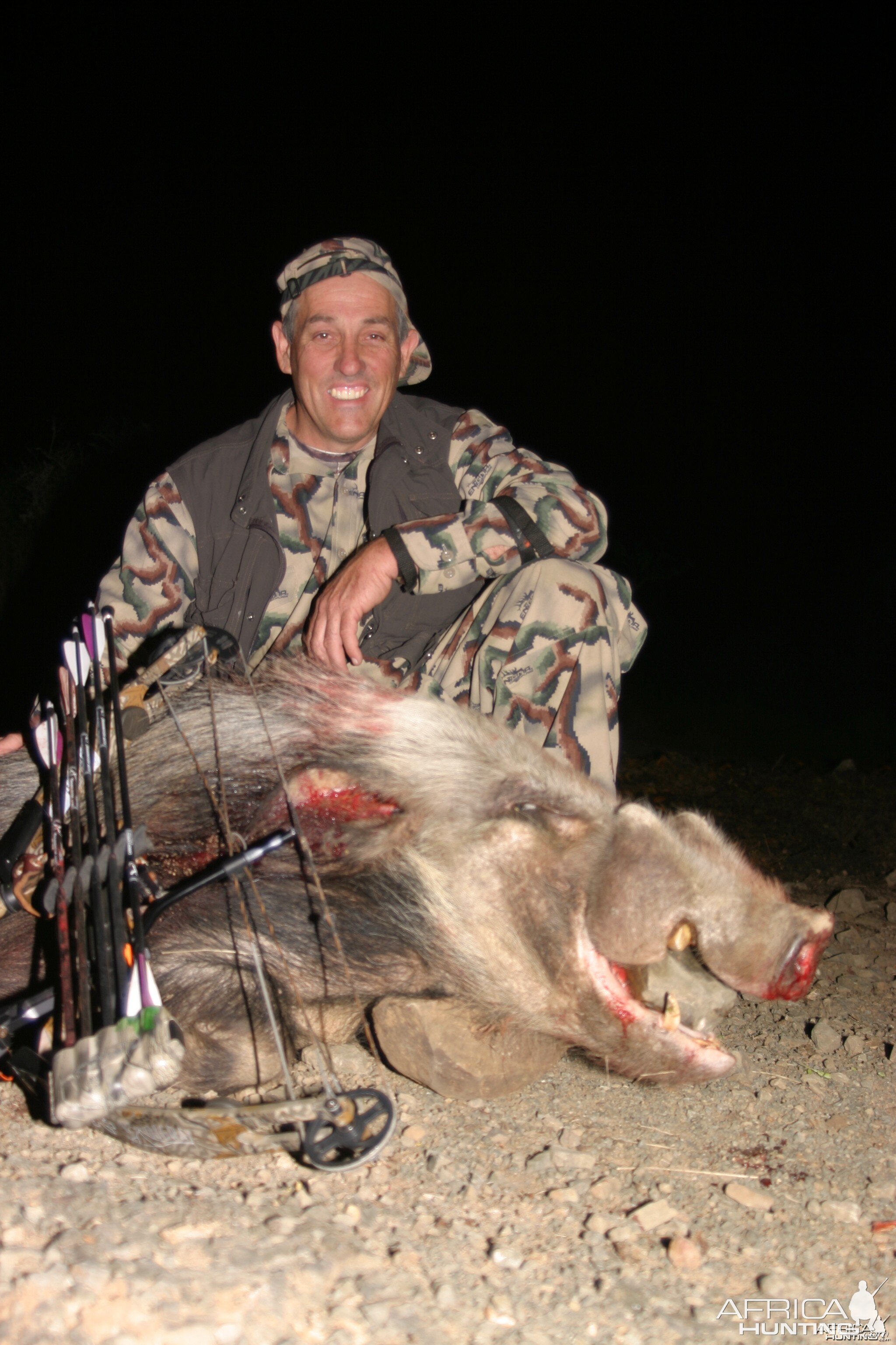 East Cape Bushpig