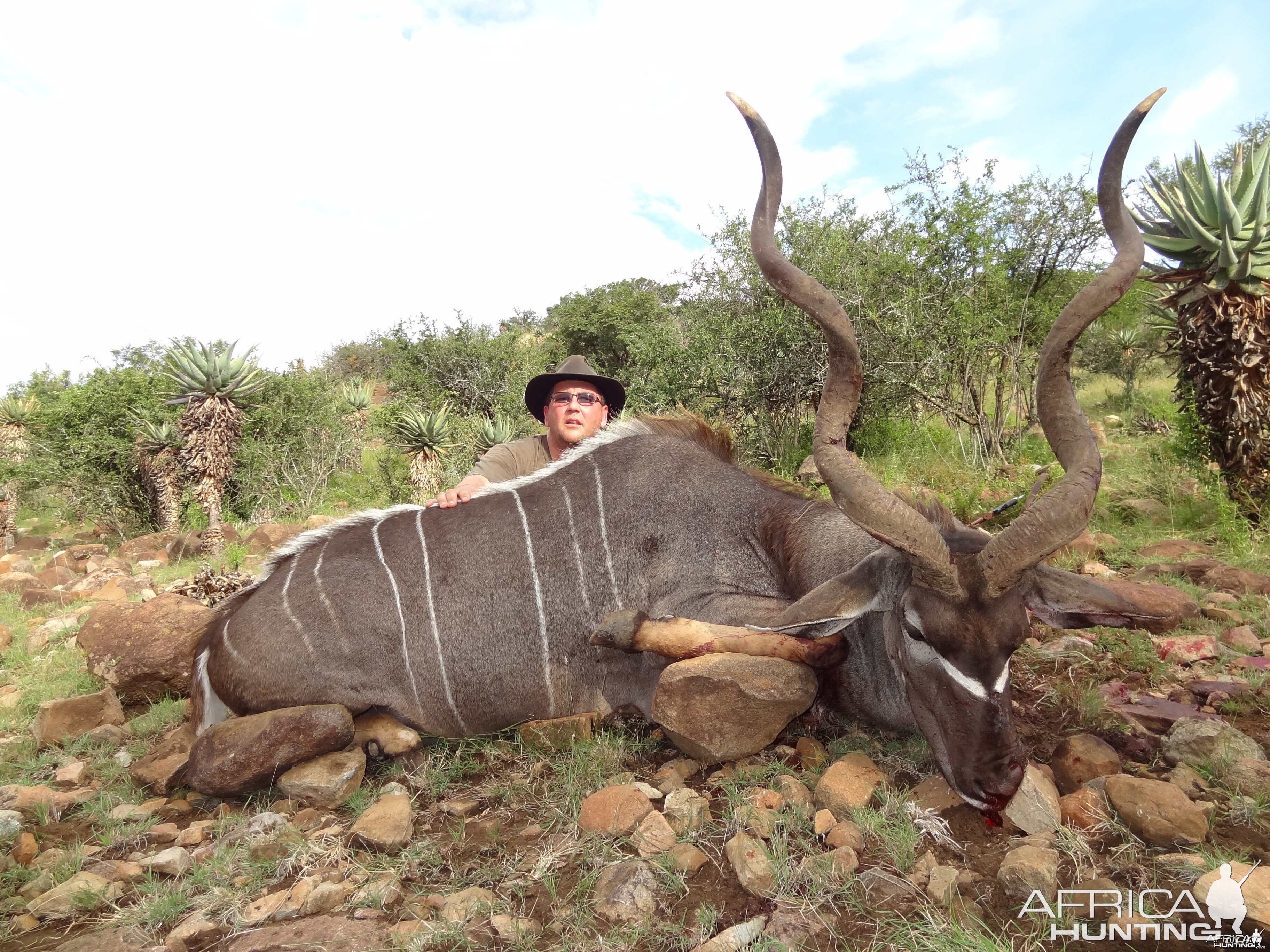 East Cape Kudu