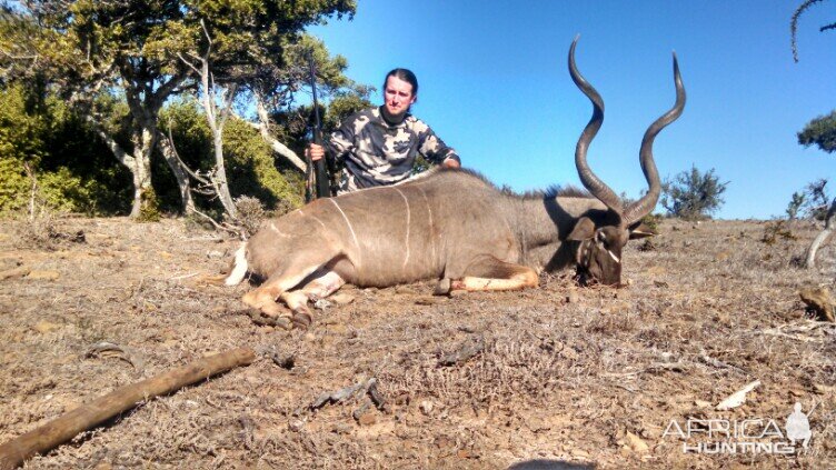 East Cape Kudu