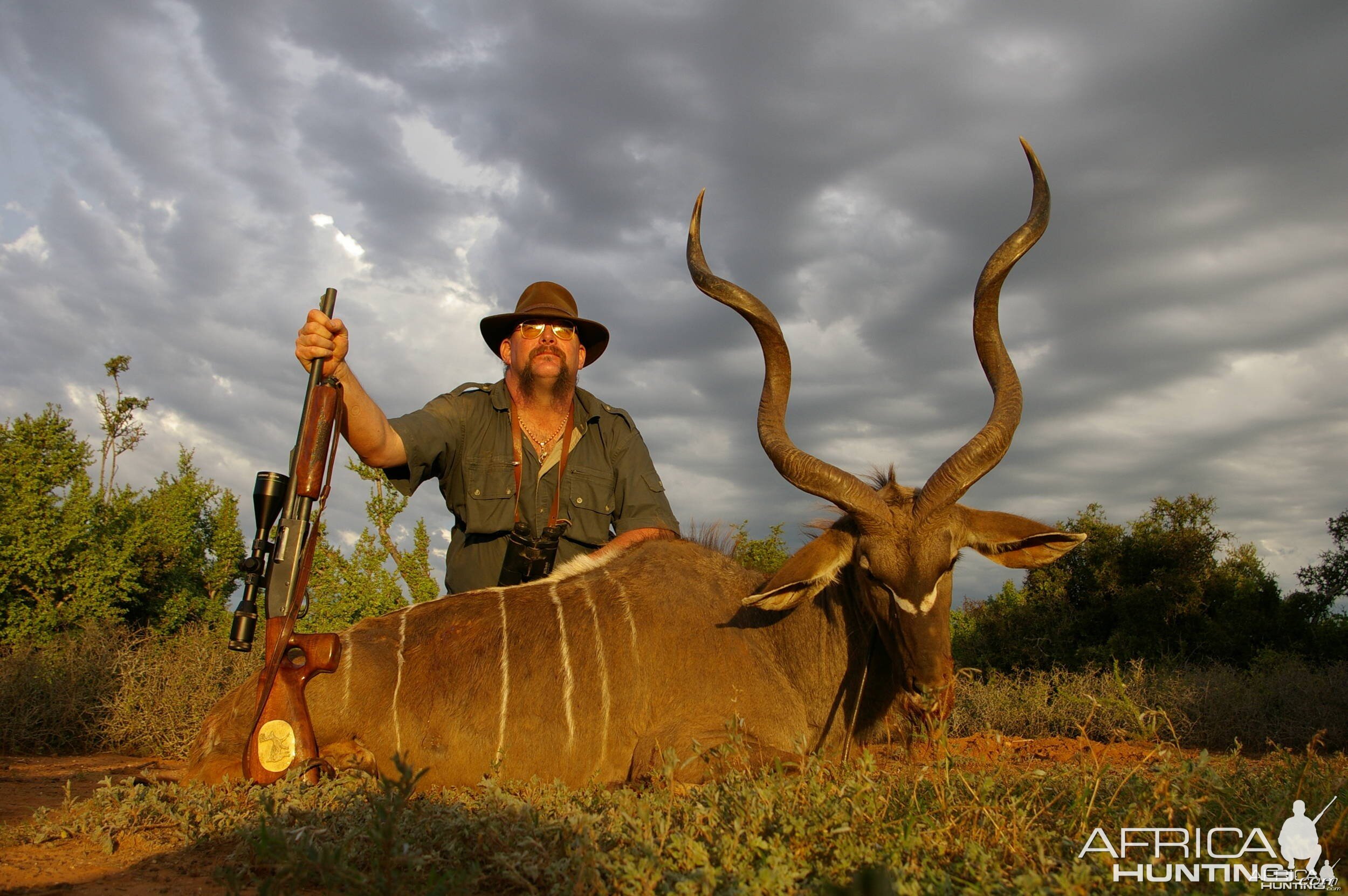 Eastarn Cape Kudu