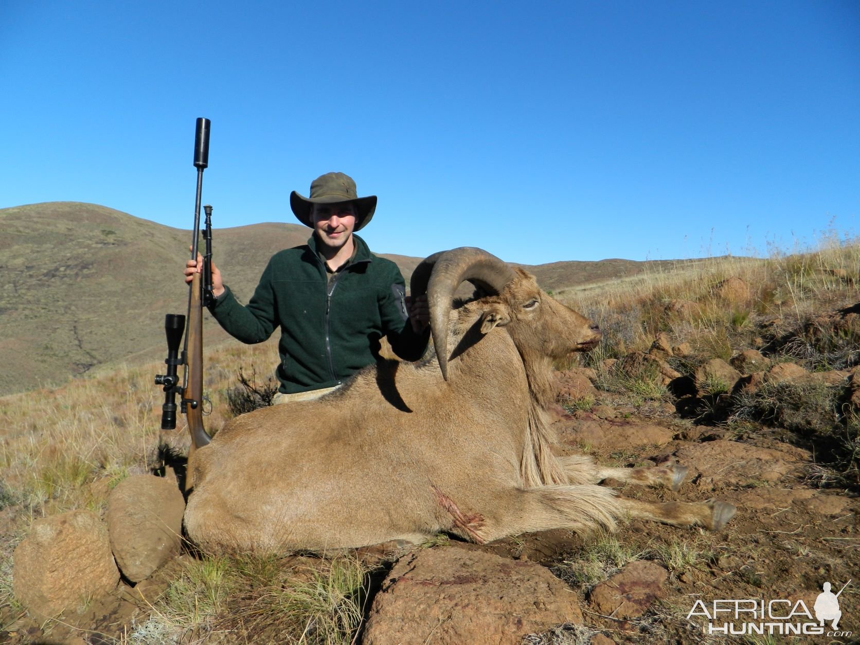 Eastern Cape Barbary Sheep