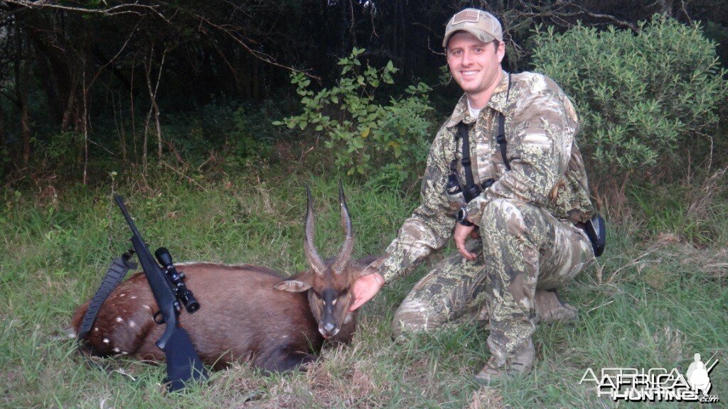 Eastern Cape Bushbuck