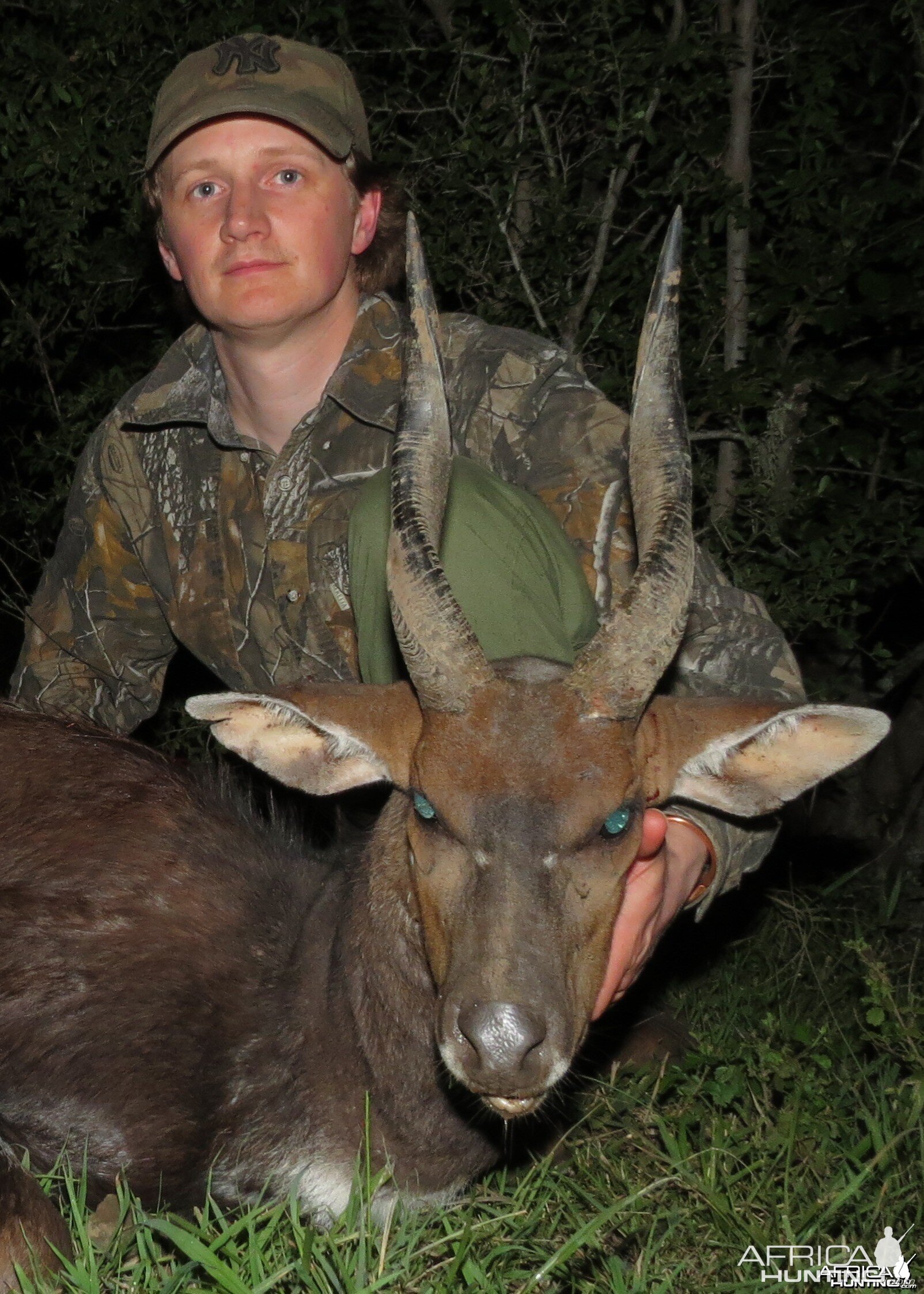 Eastern Cape (Cowie) Bushbuck