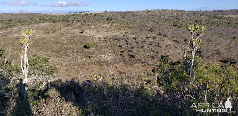 Eastern Cape Hunting South Africa