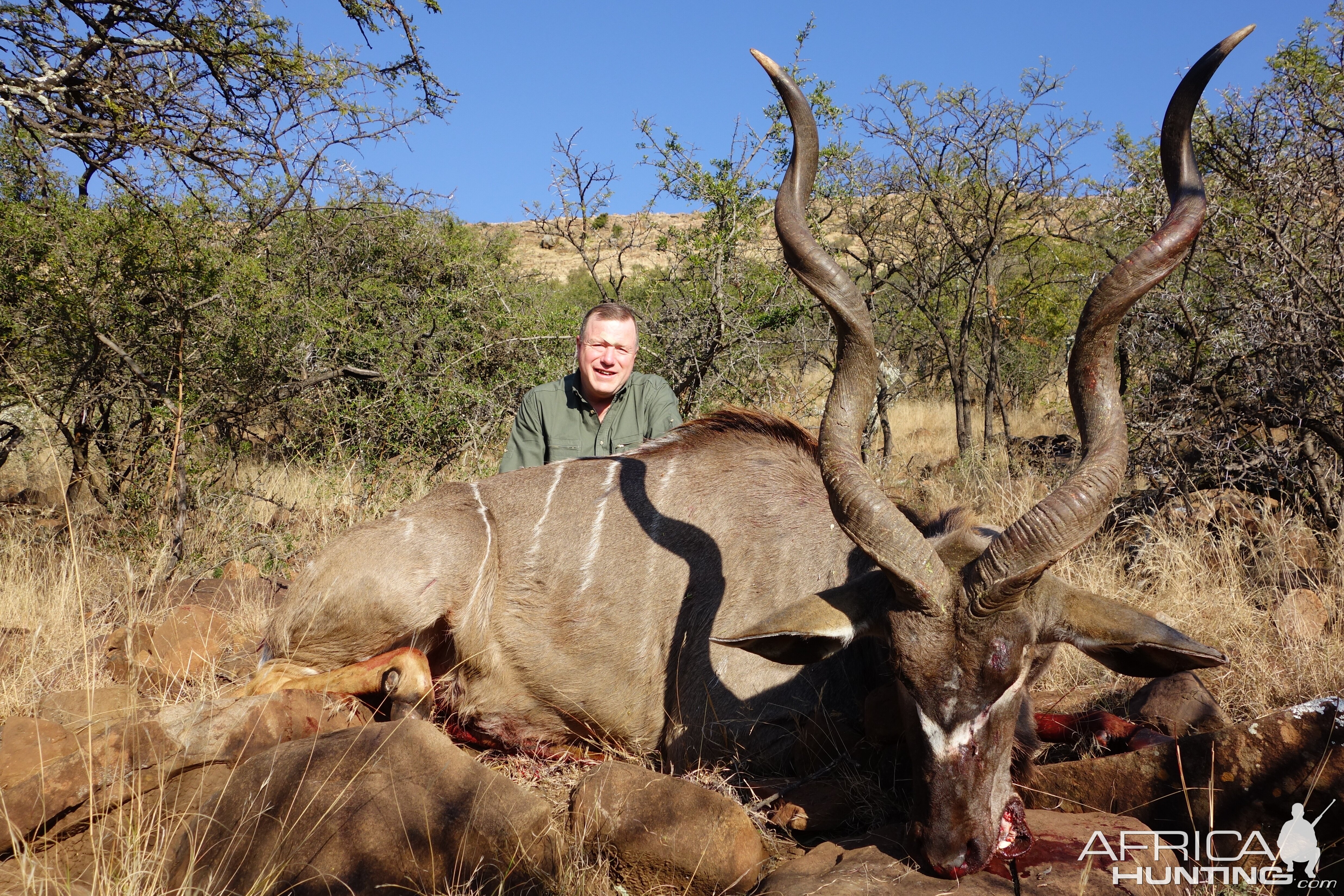 Eastern Cape Kudu