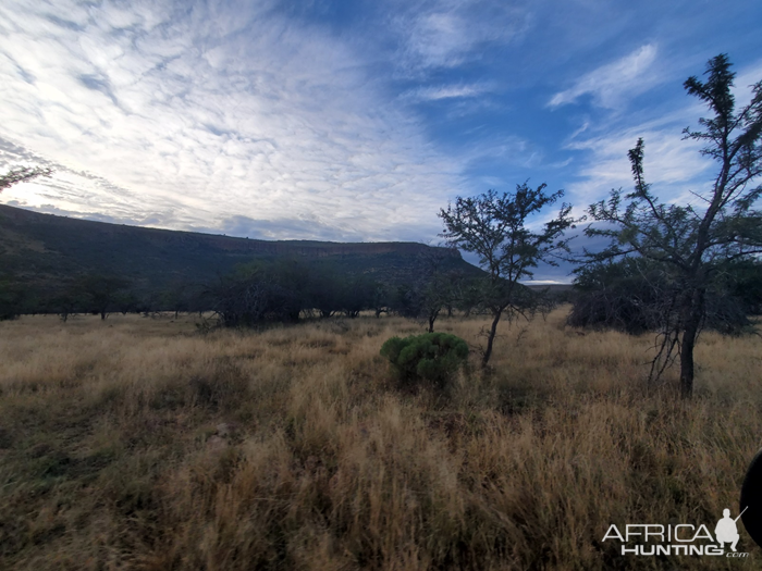 Eastern Cape Nature South Africa