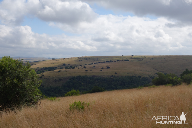 Eastern Cape South Africa Nature