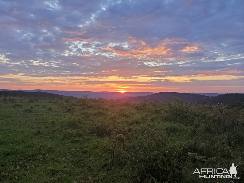 Eastern Cape South Africa Nature