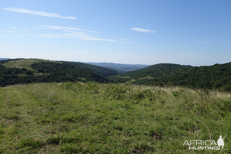 Eastern Cape South Africa Nature