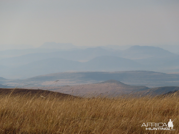 Eastern Cape South Africa Nature