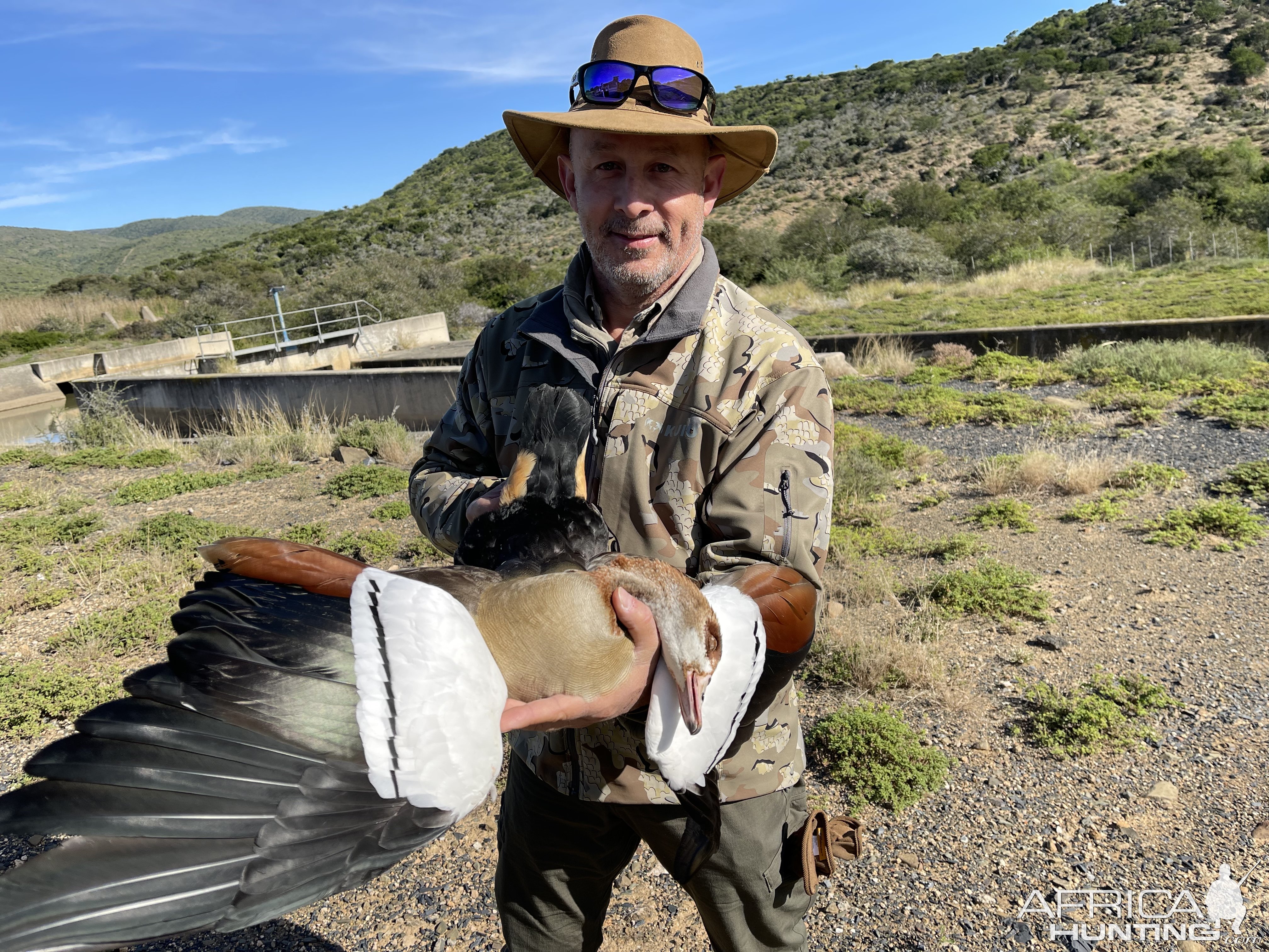 Egyptian Duck Hunt South Africa