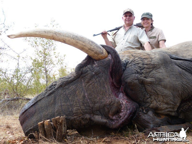 Ekephant hunted with Wintershoek Johnny Vivier Safaris