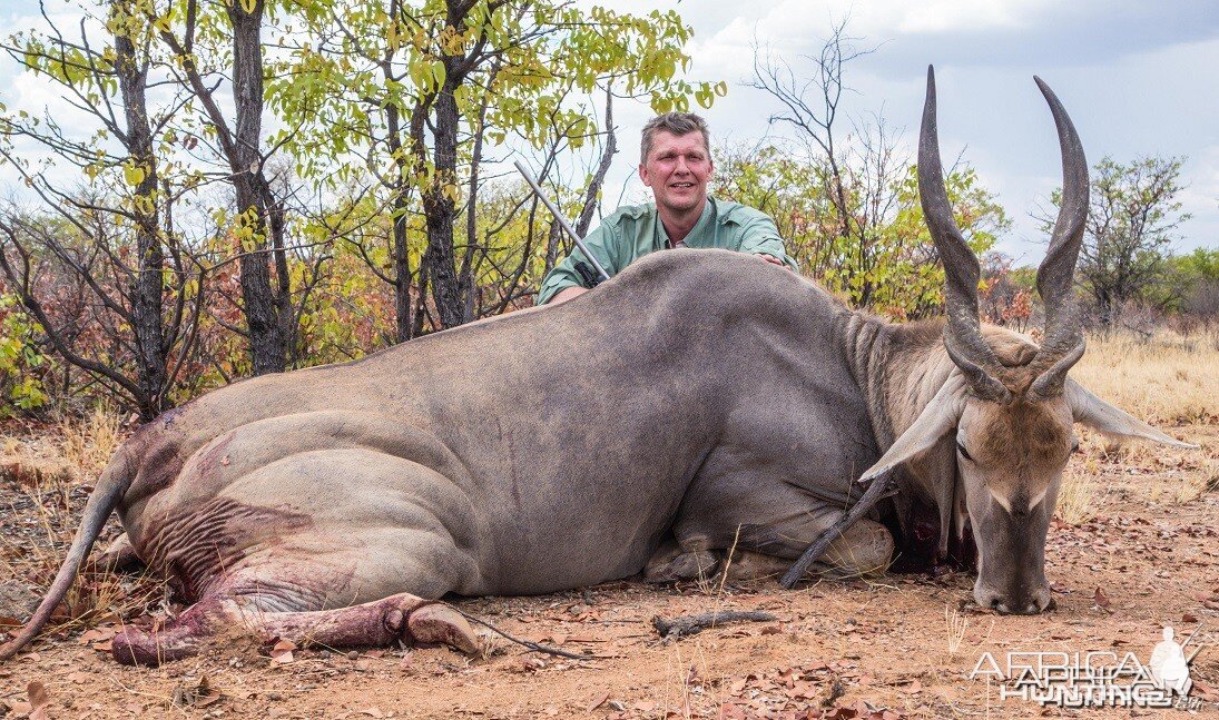 Eland 37 inches