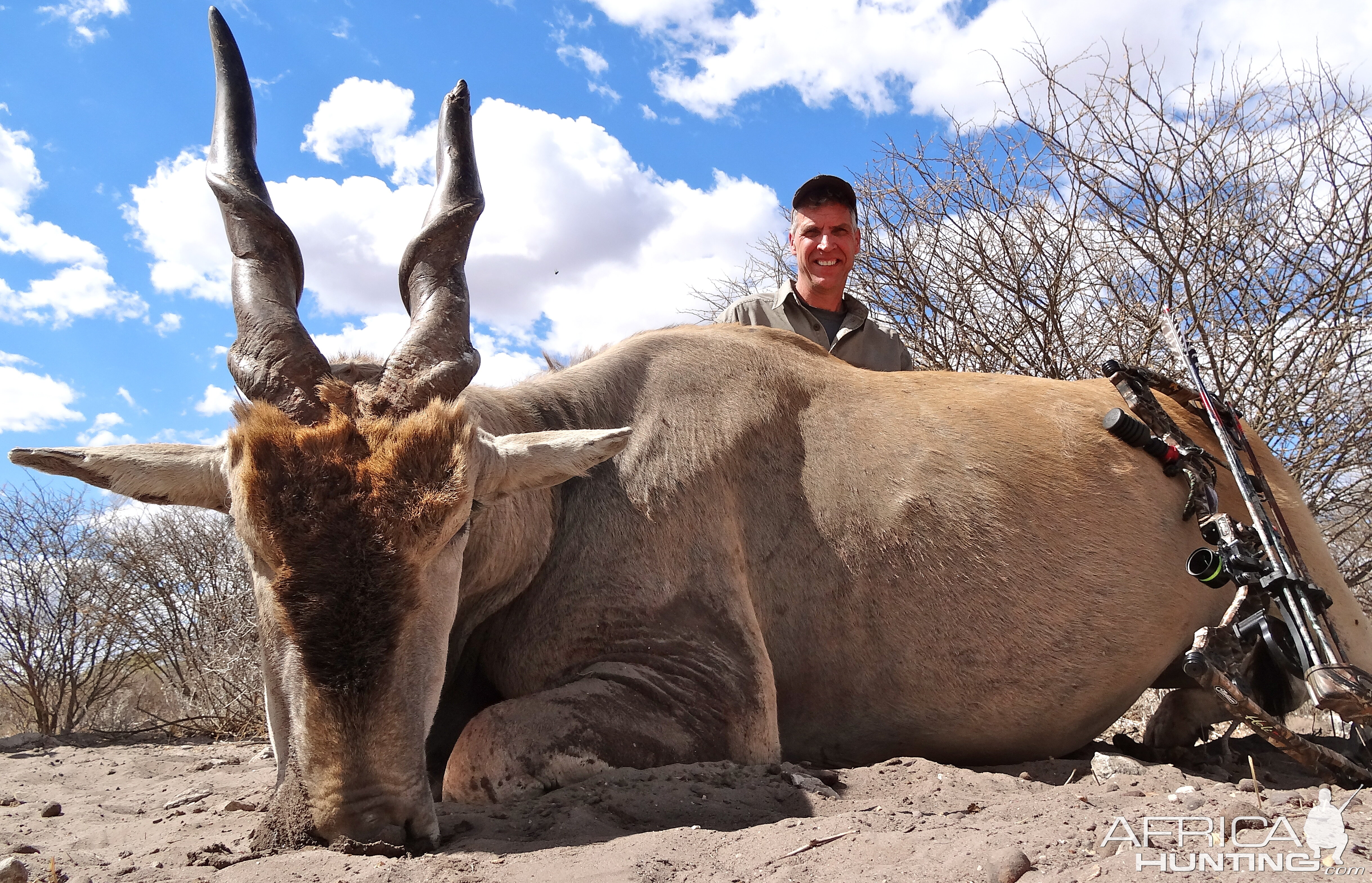 Eland Botswana 2013