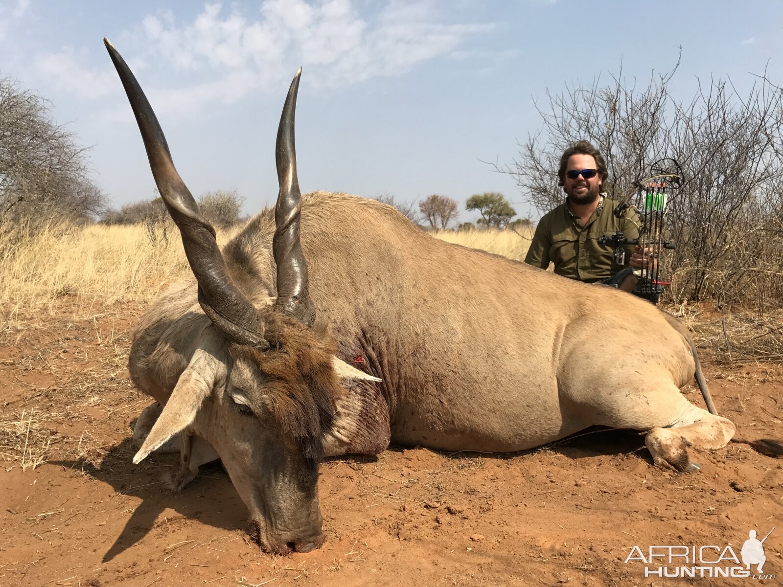 Eland Bow Hunt South Africa