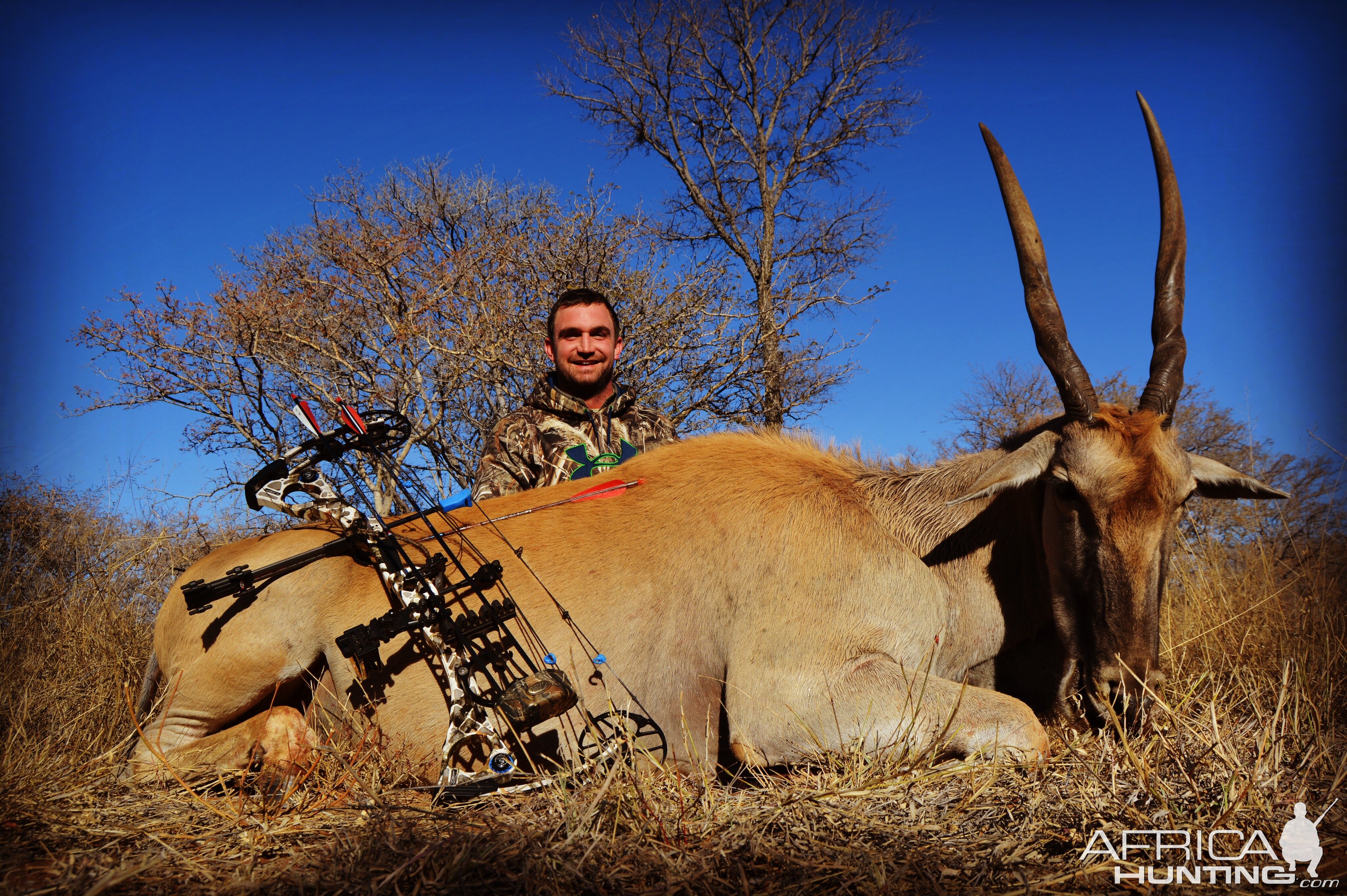 Eland Bow Hunt South Africa