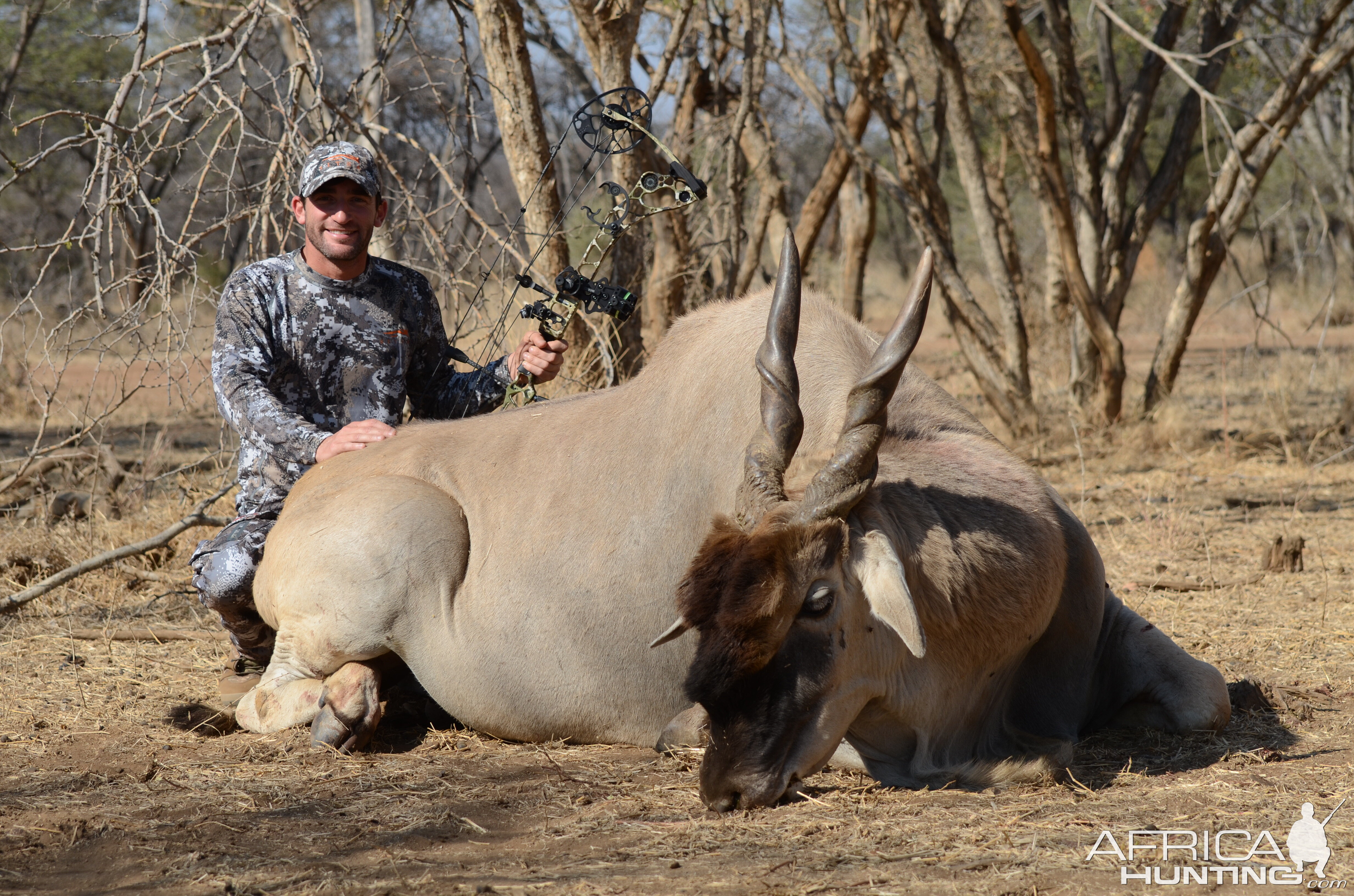 Eland Bow Hunt South Africa