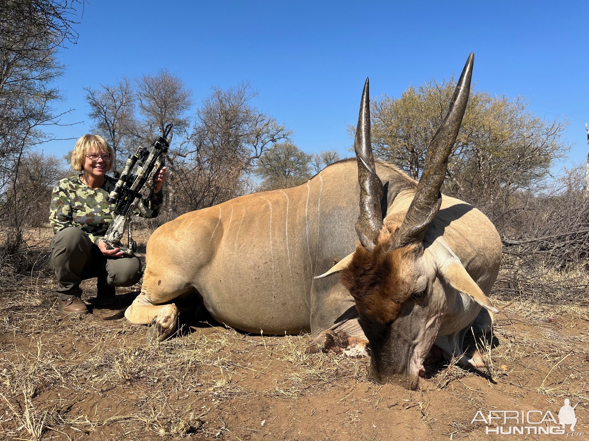 Eland Bow Hunt