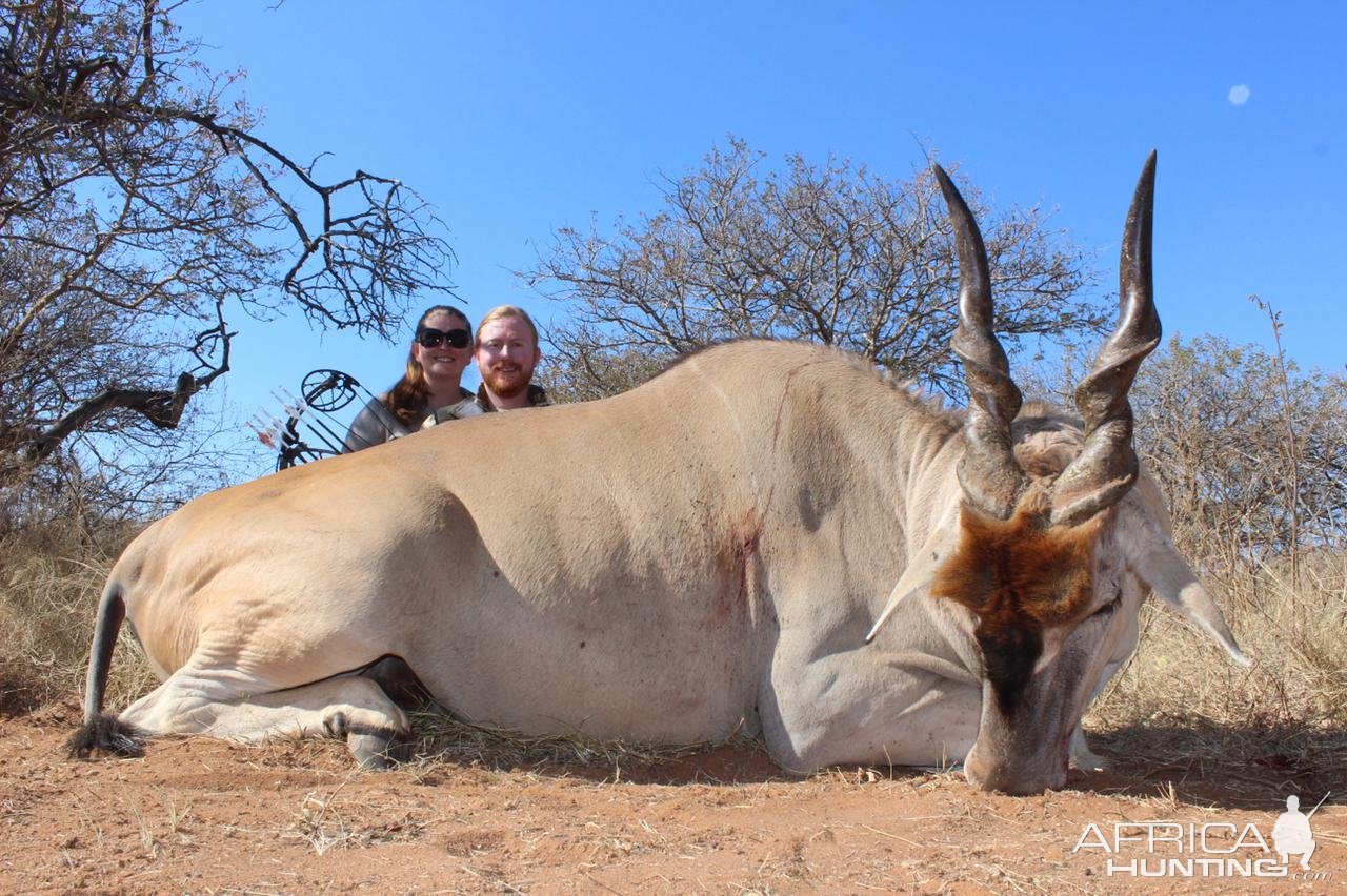 Eland Bowhunting South Africa