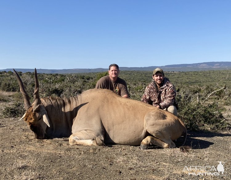 Eland Bull Hunt South Africa