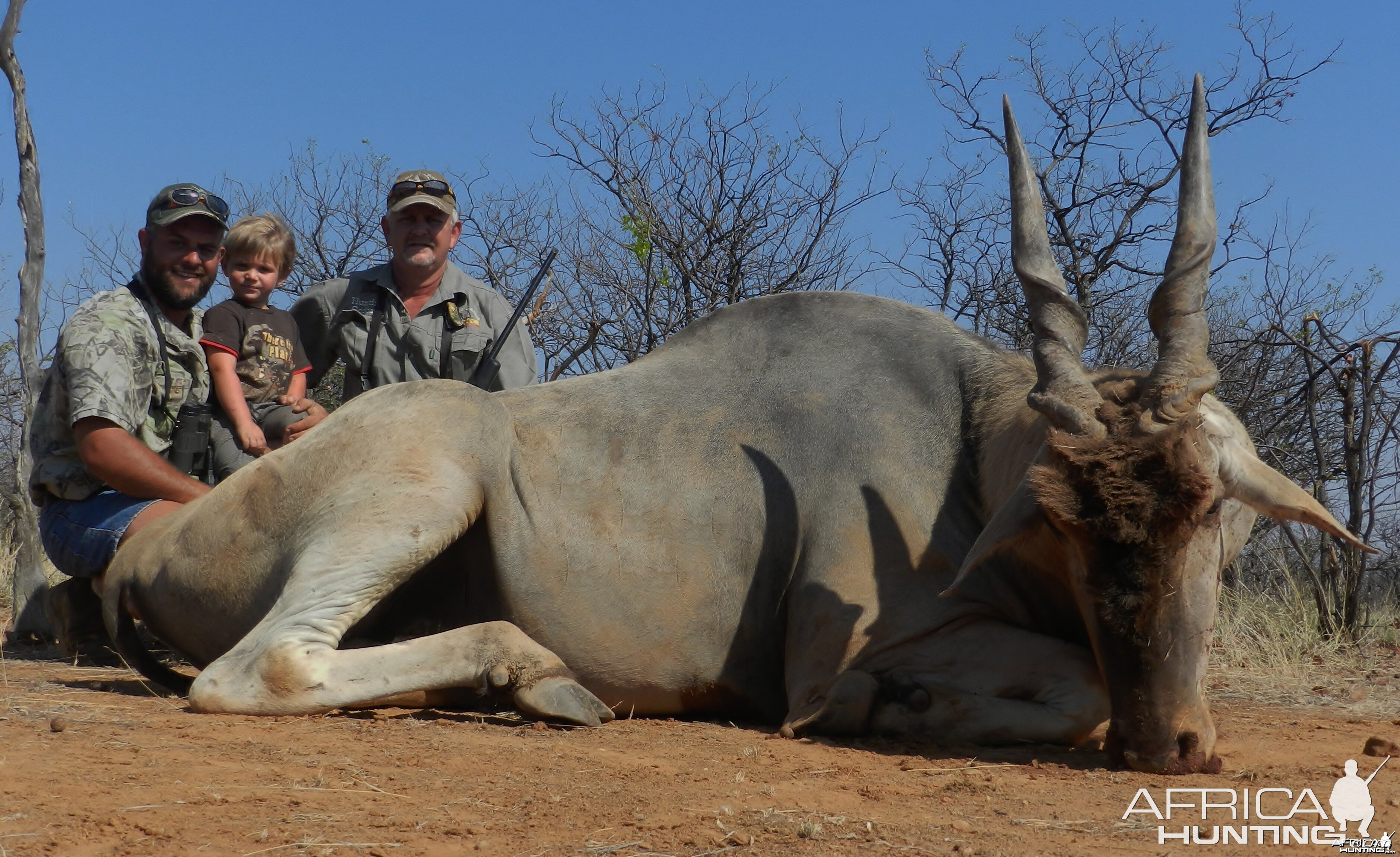 Eland bull hunted by Janus Smit