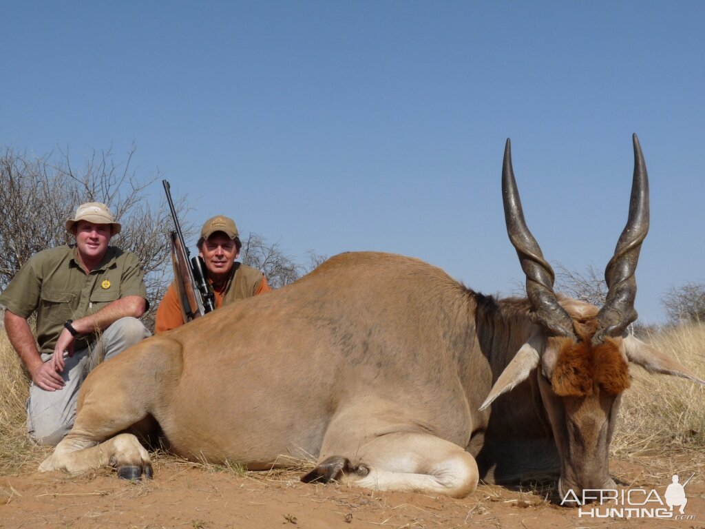 Eland Bull Hunting