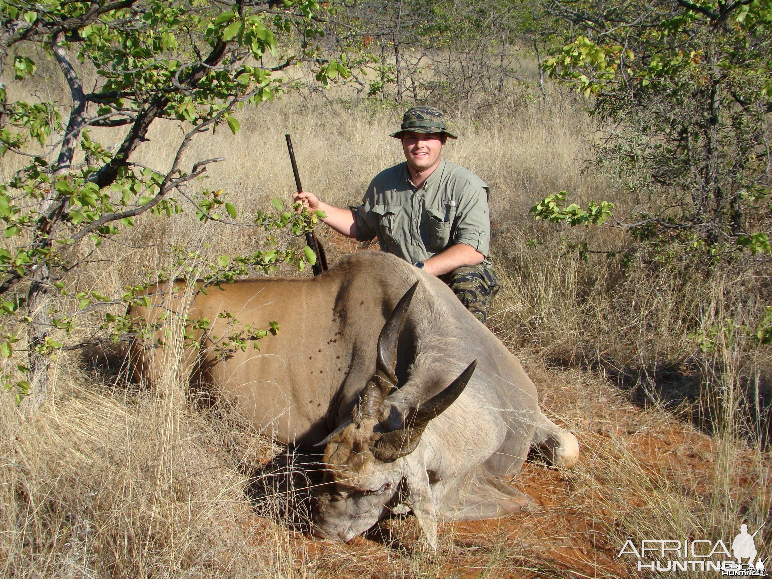 Eland Bull