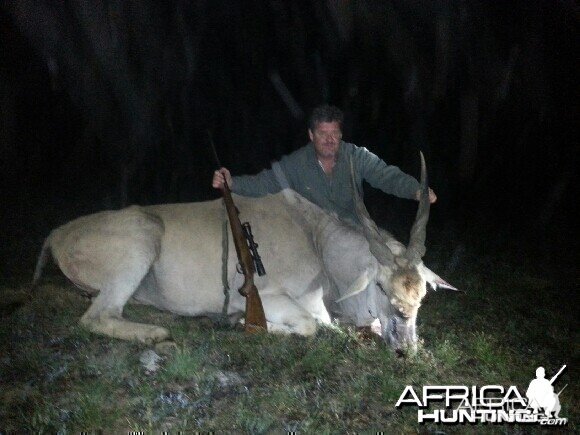 Eland Bull