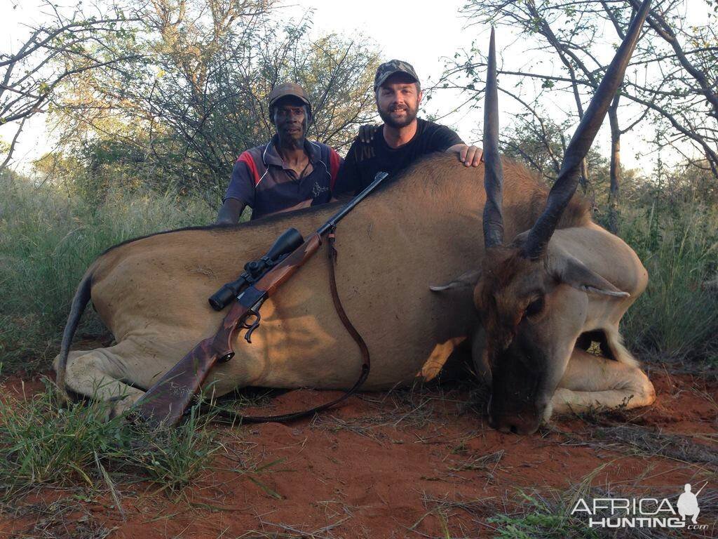 Eland Cow Hunt in South Africa