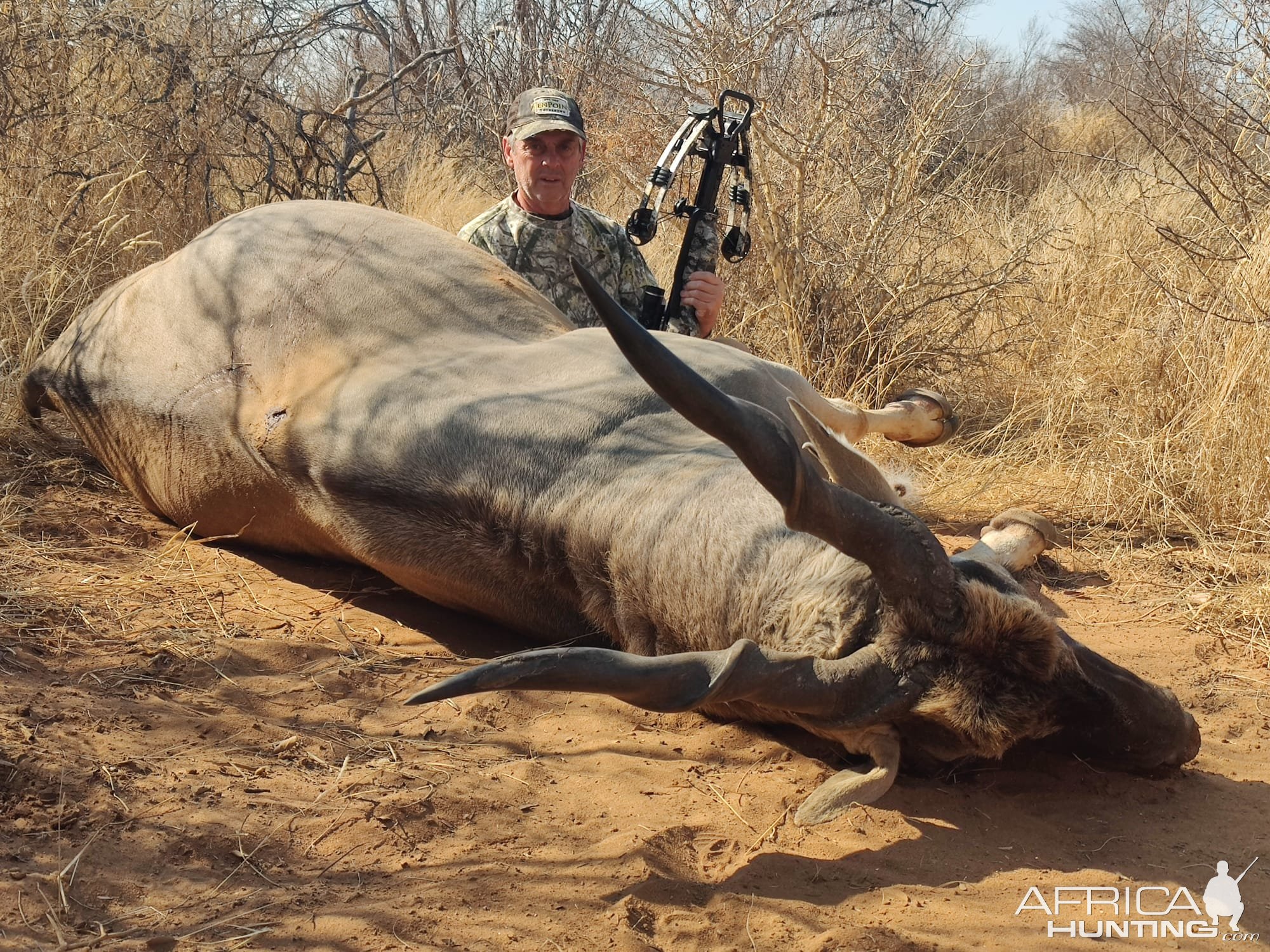 Eland Crossbow Hunting