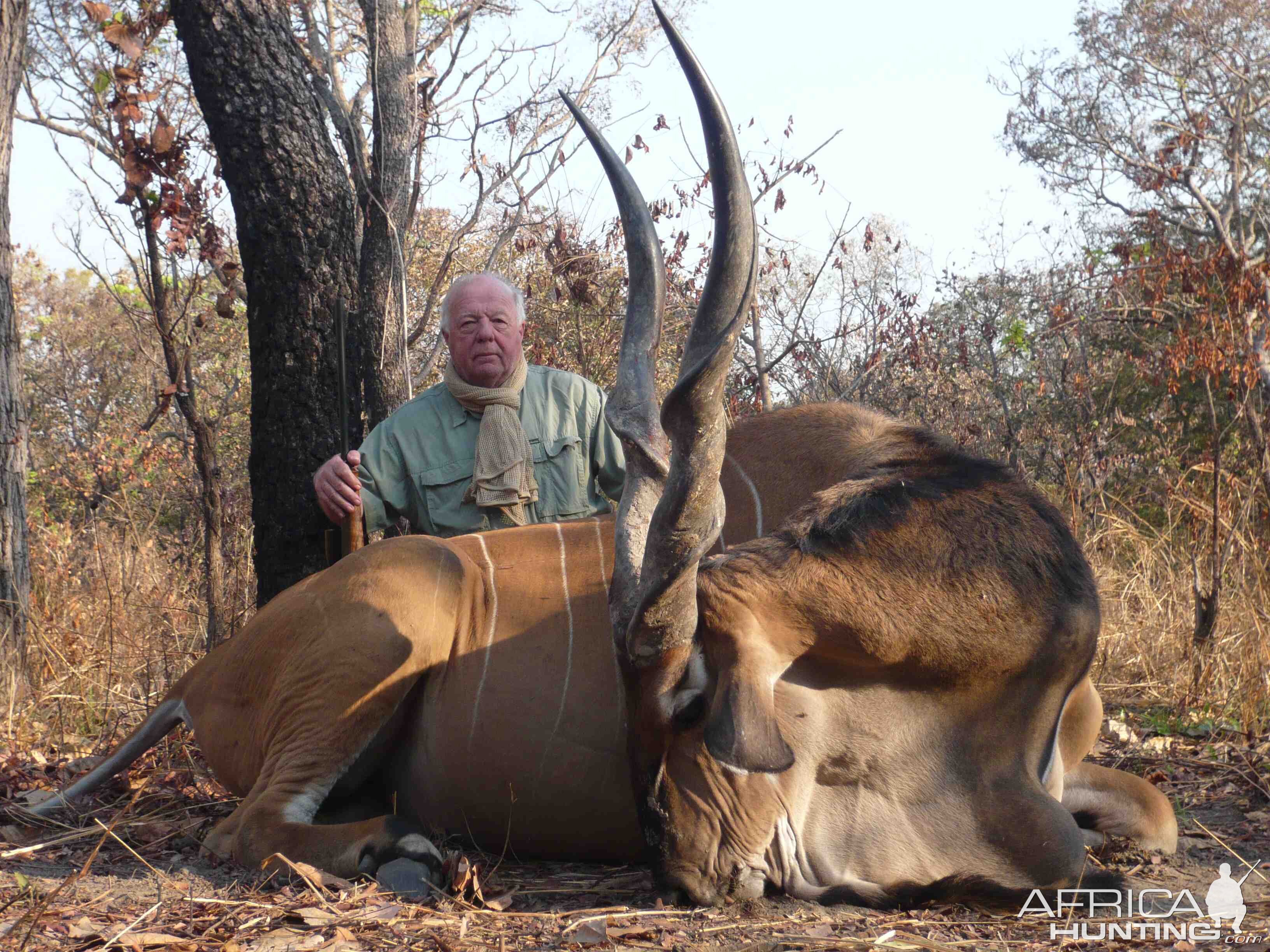 Eland Derby hunted in CAR with Safaria